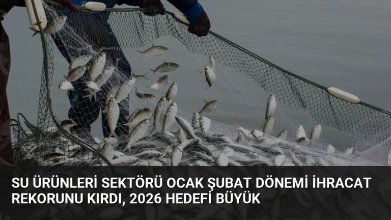 Su Ürünleri Sektörü Ocak Şubat Dönemi İhracat Rekorunu Kırdı, 2026 Hedefi Büyük