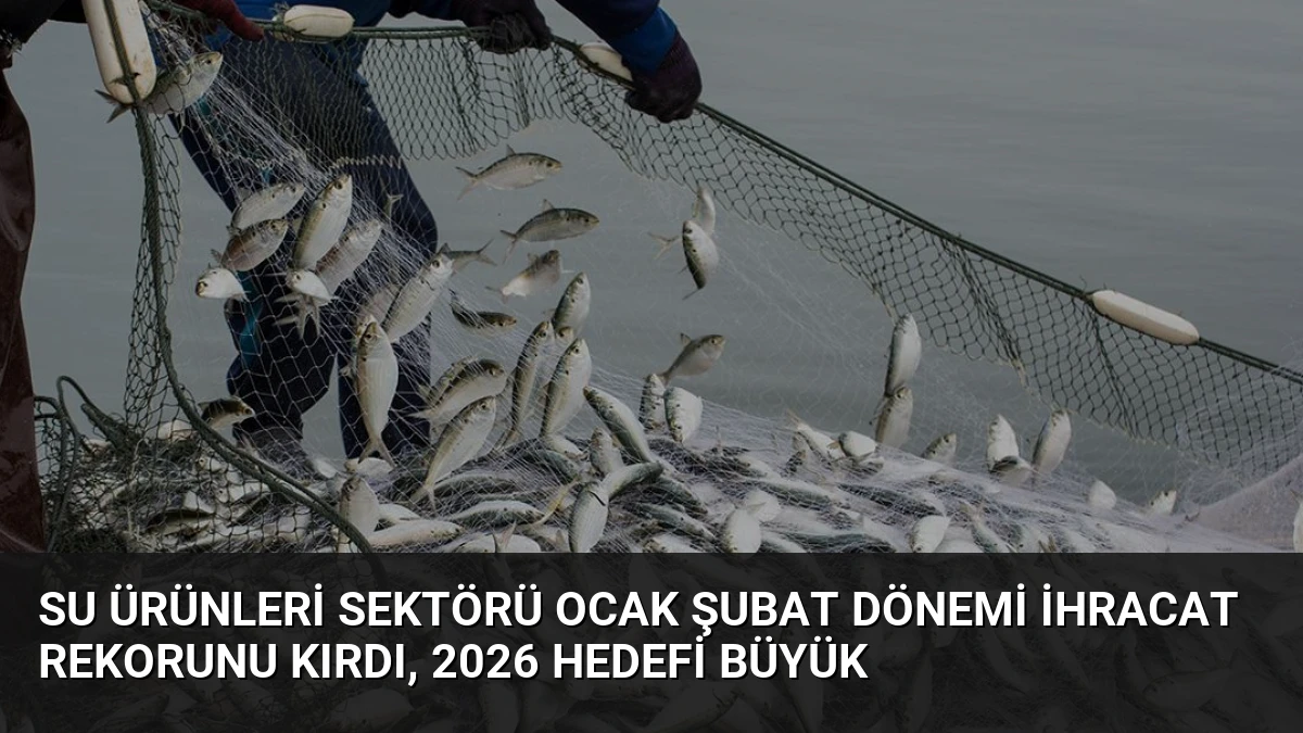 Su Ürünleri Sektörü Ocak Şubat Dönemi İhracat Rekorunu Kırdı, 2026 Hedefi Büyük