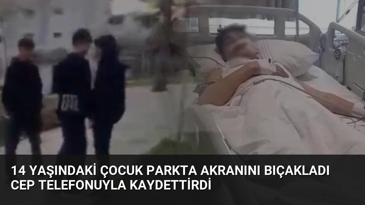 14 Yaşındaki Çocuk Parkta Akranını Bıçakladı Cep Telefonuyla Kaydettirdi