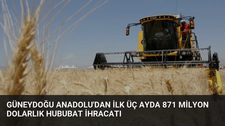 Güneydoğu Anadolu’dan İlk Üç Ayda 871 Milyon Dolarlık Hububat İhracatı