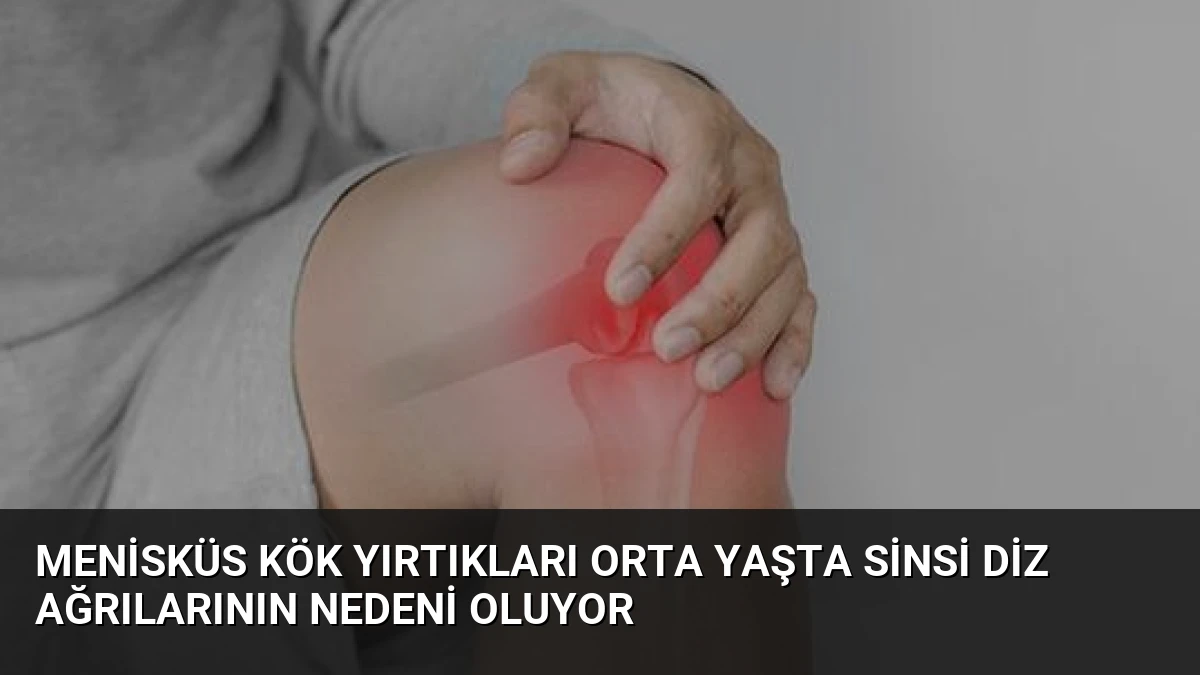Menisküs Kök Yırtıkları Orta Yaşta Sinsi Diz Ağrılarının Nedeni Oluyor