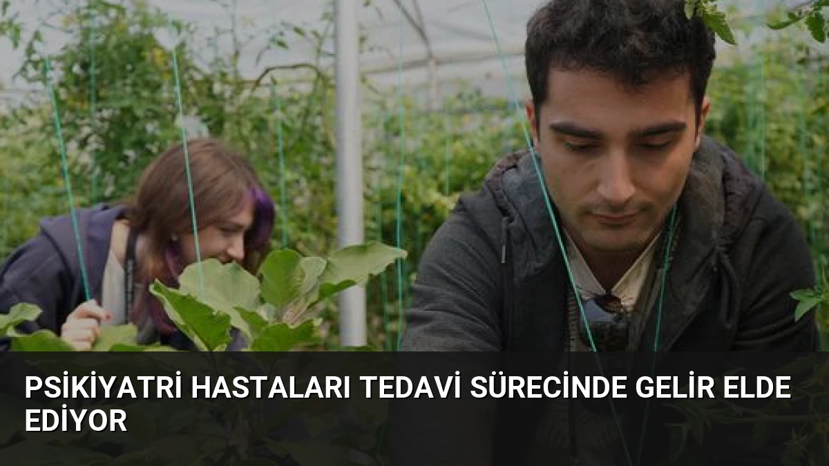 Psikiyatri Hastaları Tedavi Sürecinde Gelir Elde Ediyor