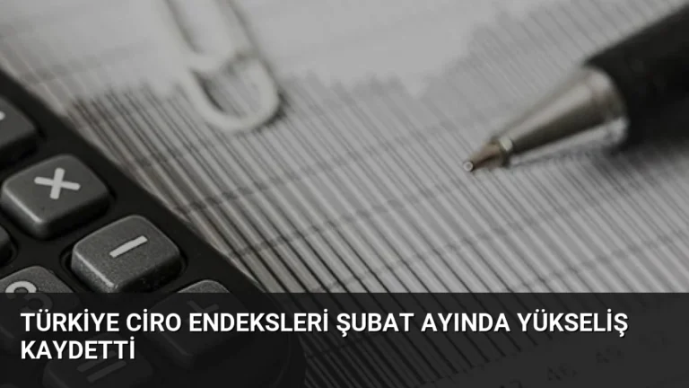 Türkiye Ciro Endeksleri Şubat Ayında Yükseliş Kaydetti