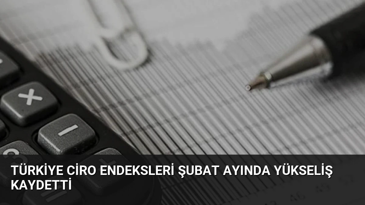 Türkiye Ciro Endeksleri Şubat Ayında Yükseliş Kaydetti