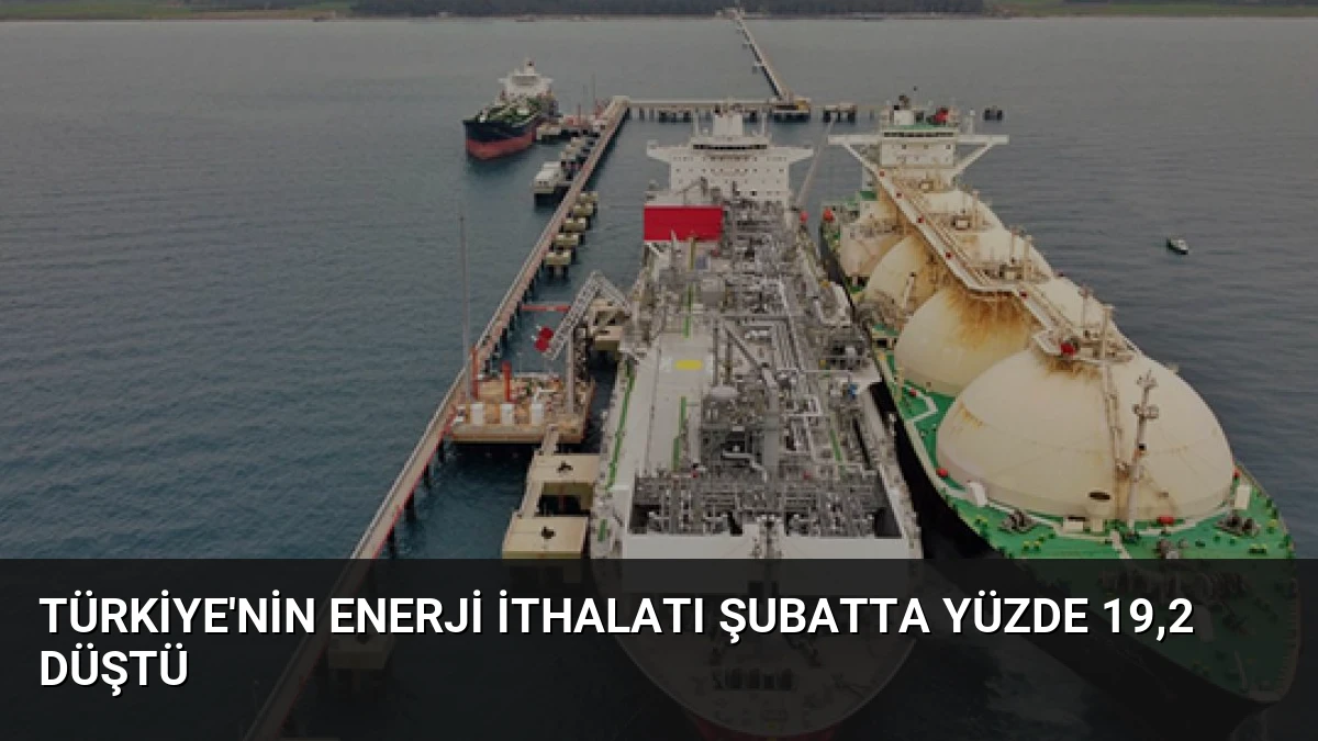 Türkiye’nin Enerji İthalatı Şubatta Yüzde 19,2 Düştü