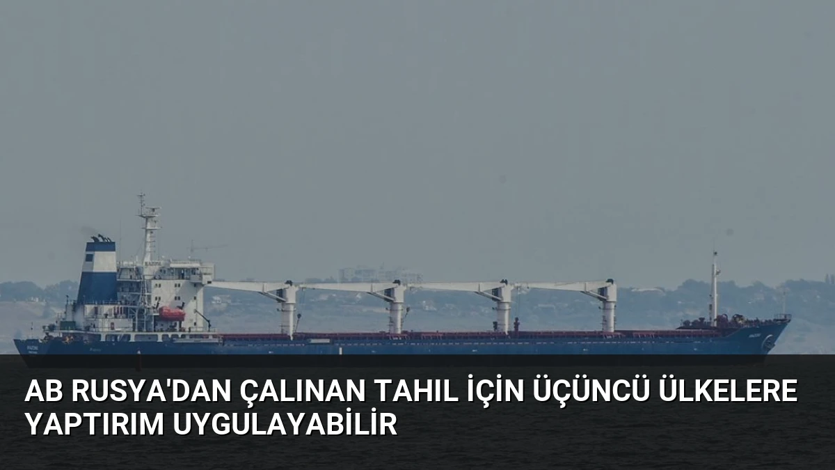 AB Rusya’dan Çalınan Tahıl İçin Üçüncü Ülkelere Yaptırım Uygulayabilir
