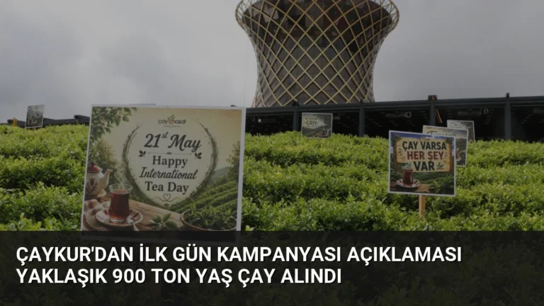 ÇAYKUR’dan İlk Gün Kampanyası Açıklaması Yaklaşık 900 Ton Yaş Çay Alındı
