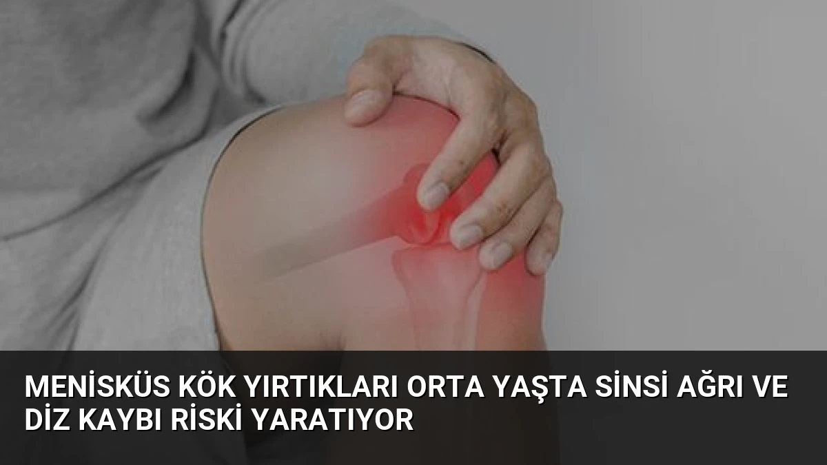 Menisküs Kök Yırtıkları Orta Yaşta Sinsi Ağrı ve Diz Kaybı Riski Yaratıyor