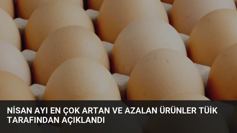 Nisan Ayı En Çok Artan ve Azalan Ürünler TÜİK Tarafından Açıklandı