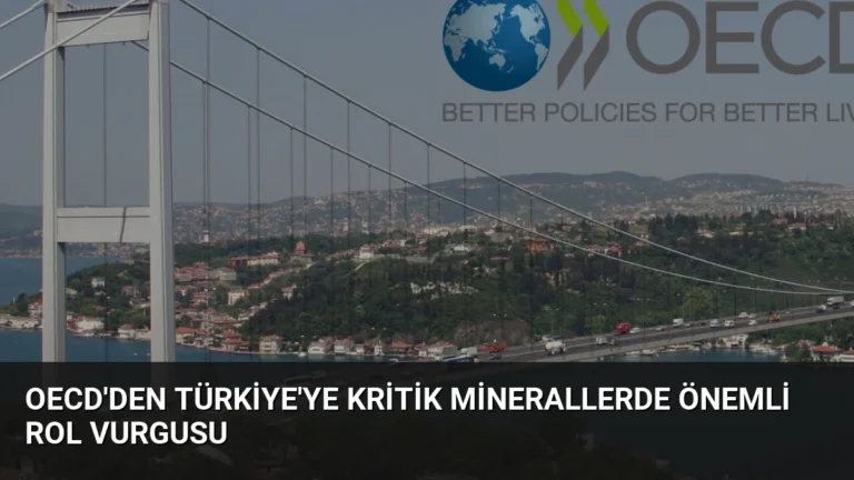 OECD’den Türkiye’ye Kritik Minerallerde Önemli Rol Vurgusu