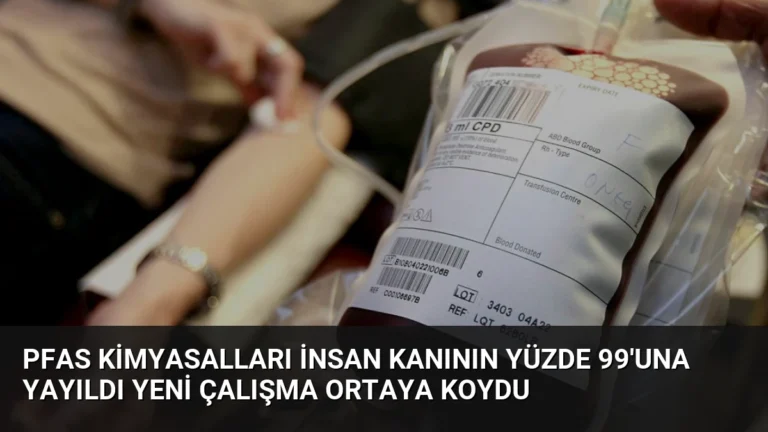 PFAS Kimyasalları İnsan Kanının Yüzde 99’una Yayıldı Yeni Çalışma Ortaya Koydu