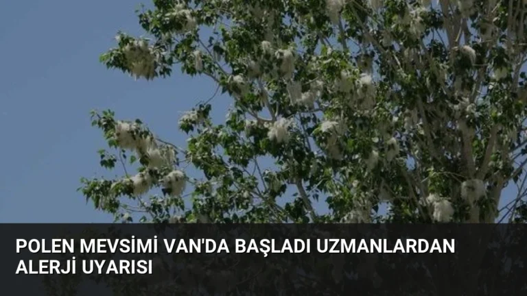 Polen Mevsimi Van’da Başladı Uzmanlardan Alerji Uyarısı