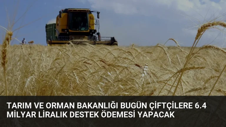 Tarım ve Orman Bakanlığı Bugün Çiftçilere 6.4 Milyar Liralık Destek Ödemesi Yapacak