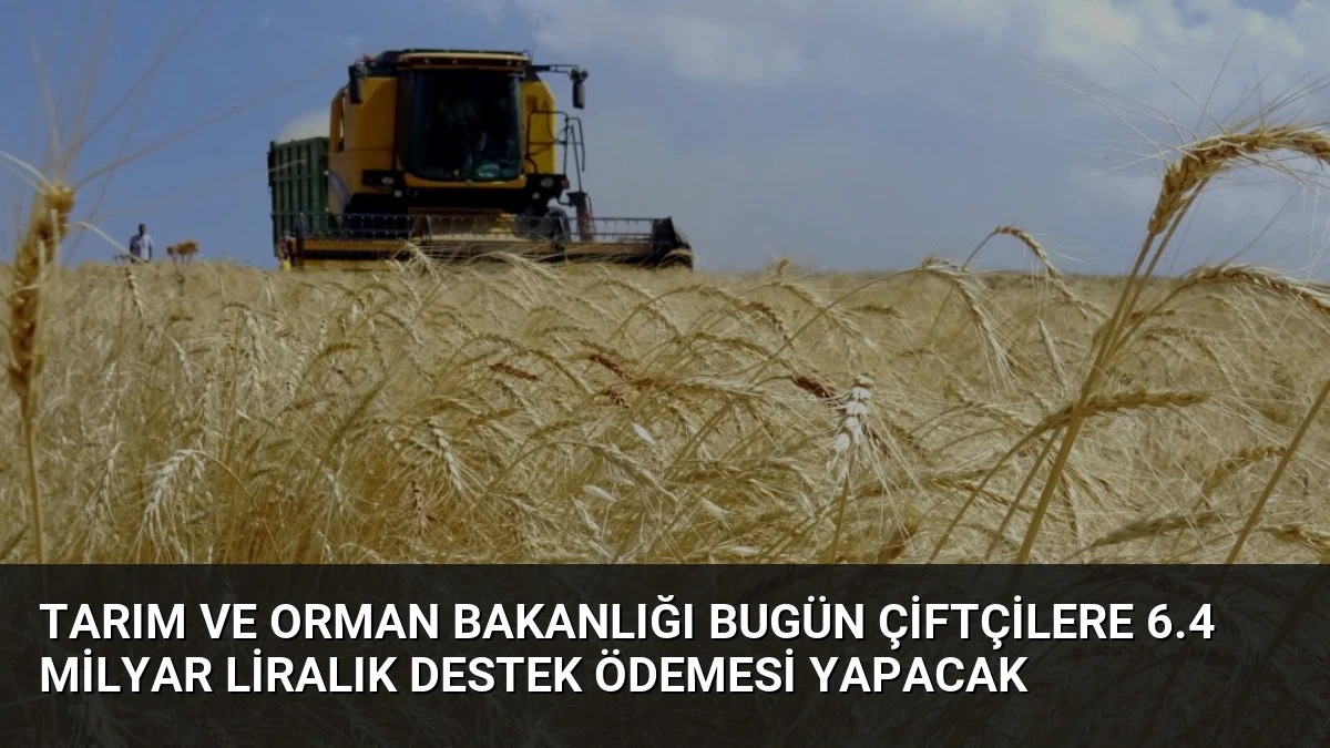 Tarım ve Orman Bakanlığı Bugün Çiftçilere 6.4 Milyar Liralık Destek Ödemesi Yapacak