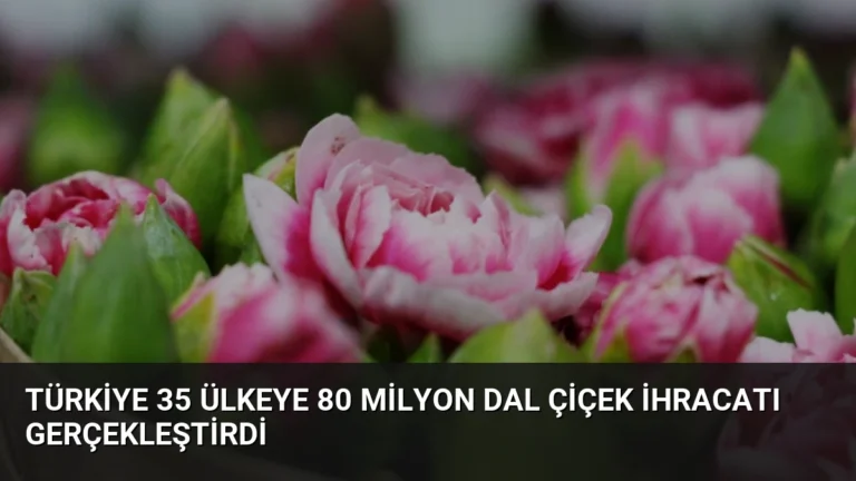 Türkiye 35 Ülkeye 80 Milyon Dal Çiçek İhracatı Gerçekleştirdi