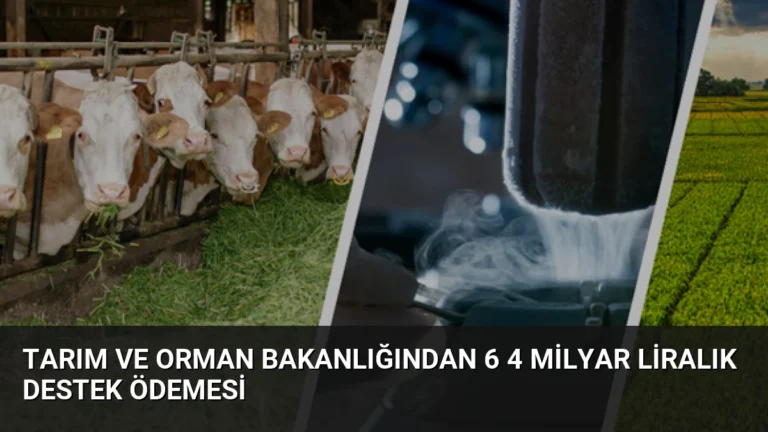 Tarım ve Orman Bakanlığından 6 4 Milyar Liralık Destek Ödemesi