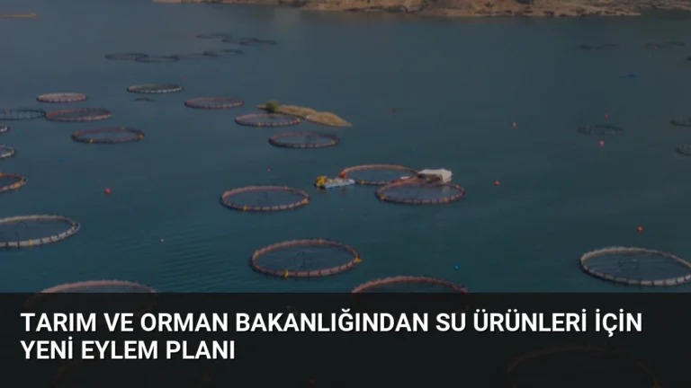 Tarım ve Orman Bakanlığından Su Ürünleri İçin Yeni Eylem Planı