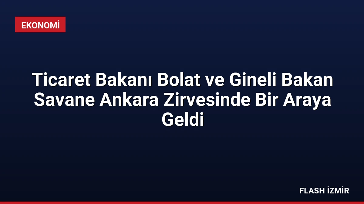 Ticaret Bakanı Bolat ve Gineli Bakan Savane Ankara Zirvesinde Bir Araya Geldi