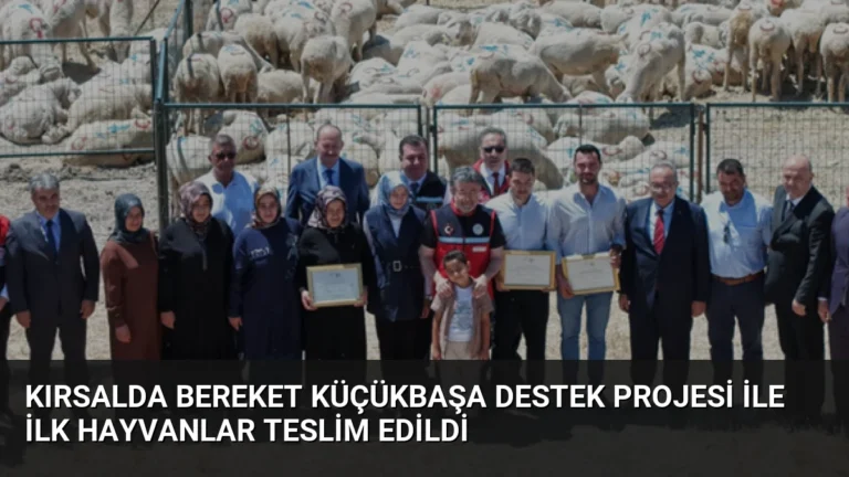 Kırsalda Bereket Küçükbaşa Destek Projesi ile İlk Hayvanlar Teslim Edildi
