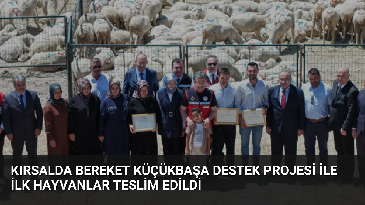 Kırsalda Bereket Küçükbaşa Destek Projesi ile İlk Hayvanlar Teslim Edildi