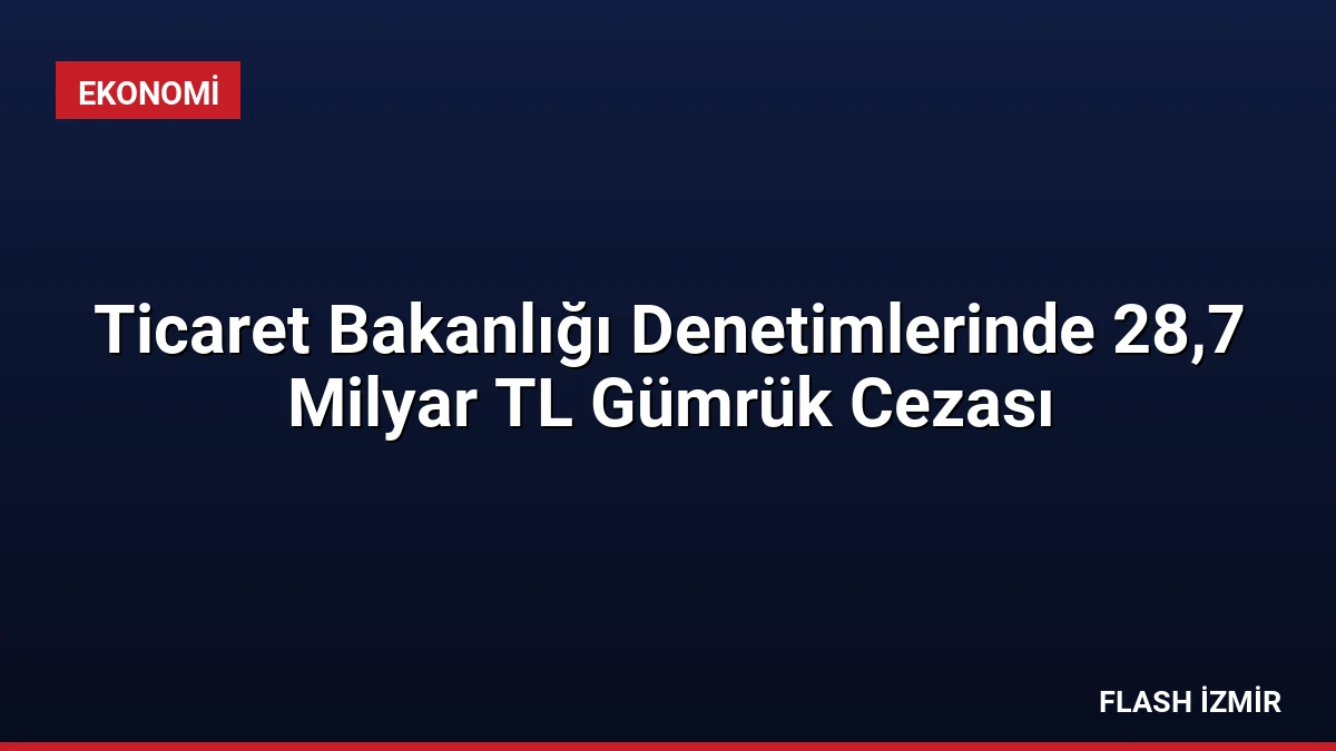 Ticaret Bakanlığı Denetimlerinde 28,7 Milyar TL Gümrük Cezası