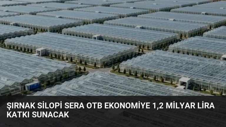 Şırnak Silopi Sera OTB Ekonomiye 1,2 Milyar Lira Katkı Sunacak