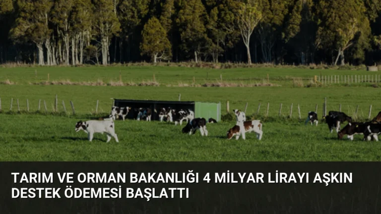 Tarım ve Orman Bakanlığı 4 Milyar Lirayı Aşkın Destek Ödemesi Başlattı