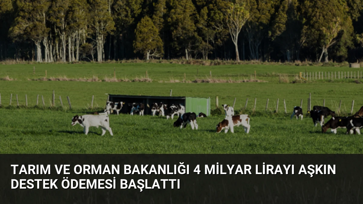 Tarım ve Orman Bakanlığı 4 Milyar Lirayı Aşkın Destek Ödemesi Başlattı