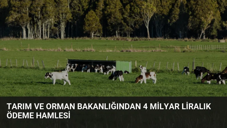 Tarım ve Orman Bakanlığından 4 Milyar Liralık Ödeme Hamlesi