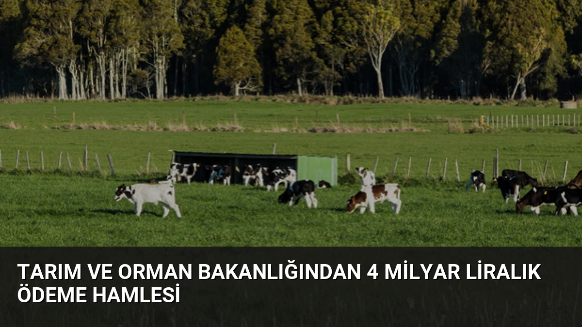 Tarım ve Orman Bakanlığından 4 Milyar Liralık Ödeme Hamlesi